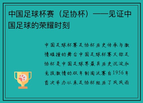 中国足球杯赛（足协杯）——见证中国足球的荣耀时刻